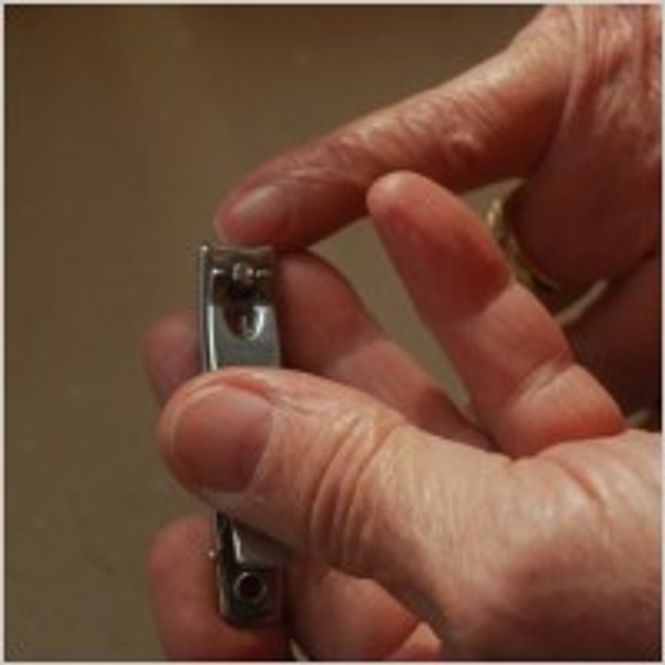 Hovedbilde Fingernegl